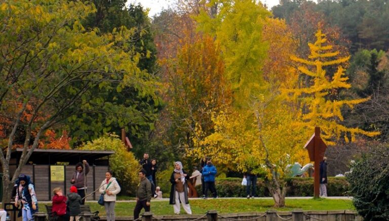 Atatürk Arboretumu sonbahar renklerine büründü