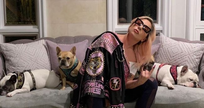 Lady Gaga’nın köpeğini kaçıran kişiye 21 yıl hapis cezası