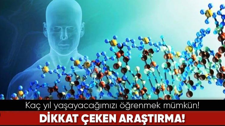 Dikkat çeken araştırma: Kaç yıl yaşayacağımızı öğrenmek mümkün
