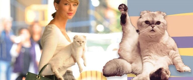 Dünyanın en zengin hayvanları (Taylor Swift’in kedisi de listede)