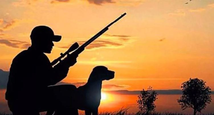 Kaçak avcılar bu kez karacalara musallat oldu