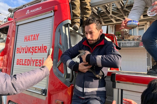 Hatay’da depremde hasar gören binada mahsur kalan kedi yavrusu kurtarıldı
