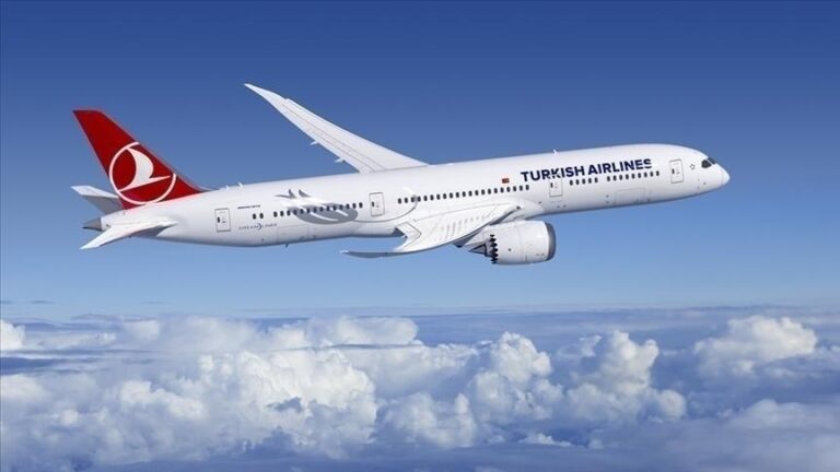 Türk Hava Yolları ihracat şampiyonu oldu