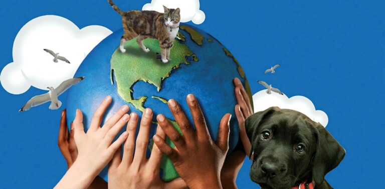 4 Ekim Dünya Hayvanları Koruma Günü Kutlu Olsun