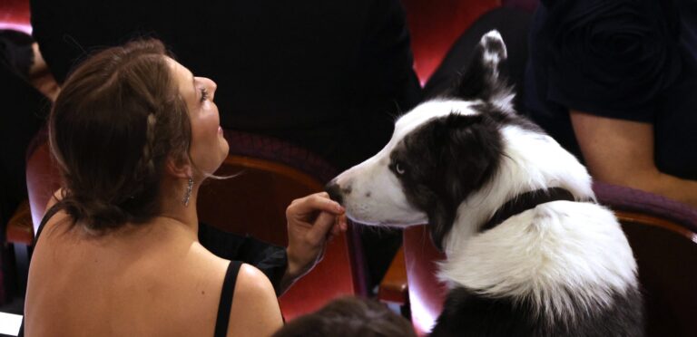 Aday filmin başrolündeki köpek de Oscar Ödülleri’ne katıldı