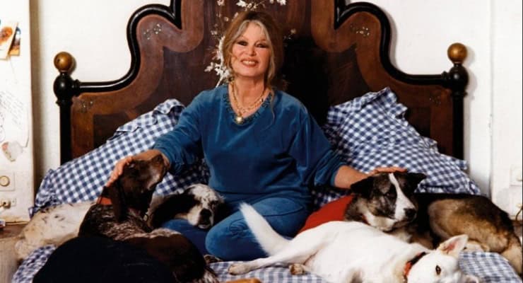 Brigitte Bardot’dan Cumhurbaşkanı Erdoğan’a mektup