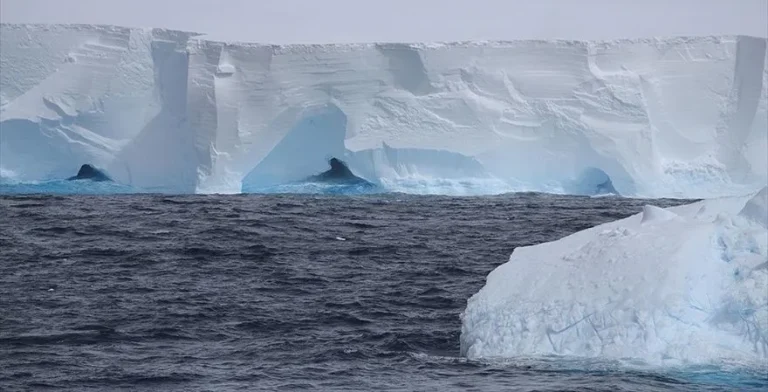 Durdurulamıyor, karaya çarpacak