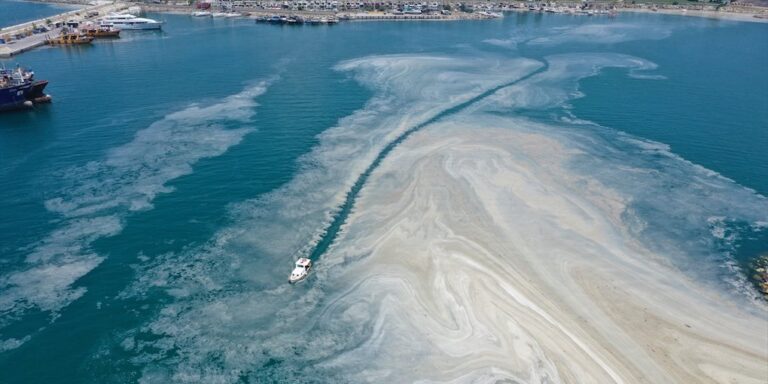 WWF Türkiye’den müsilaj çağrısı