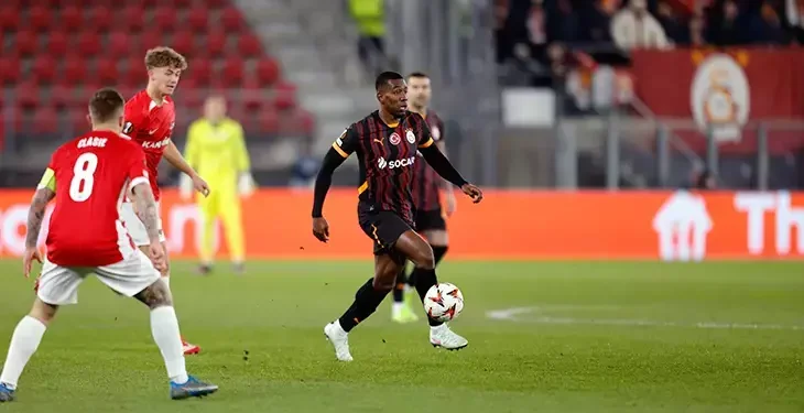 Hollanda’da Aslan ağır yaralı