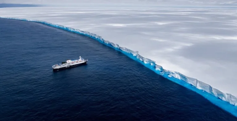 Dünyanın en büyük buzdağı karaya oturdu. Dünya için ne anlama geliyor?