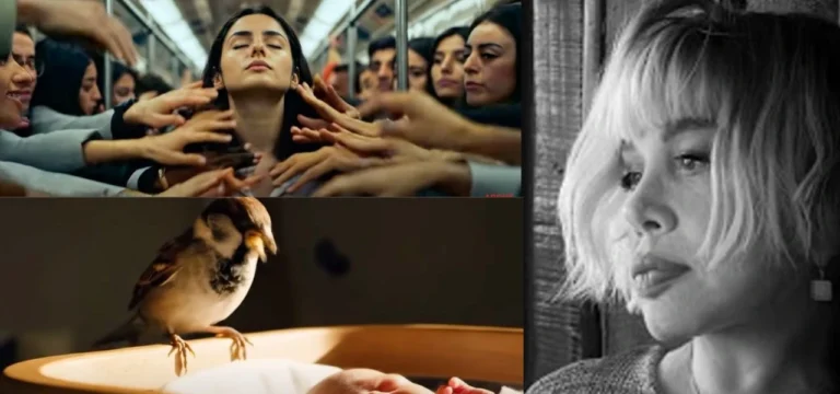 Google’dan Sezen Aksu paylaşımı