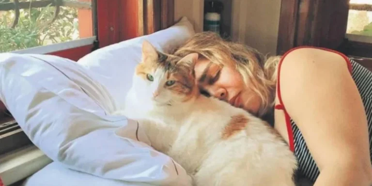 Sezen Aksu’yu yıkan haber