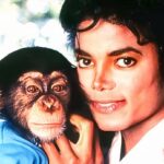 469427299_1935550776954402_6273054805351833903_n