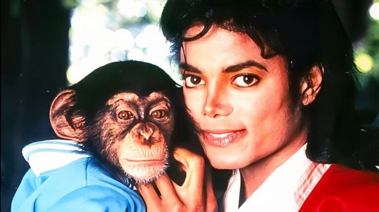 Michael Jackson’ın şempanzesi emekli hayatında