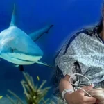 696c8207e5353968a13b3b80