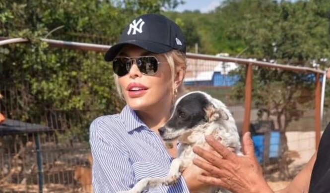 Hayvanlara şiddet görüntüleri tepki topladı