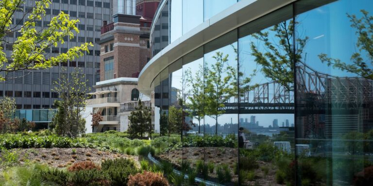 Tansiyonu düşüren yağ dokusu keşfedildi