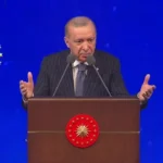 erdogan-sanat