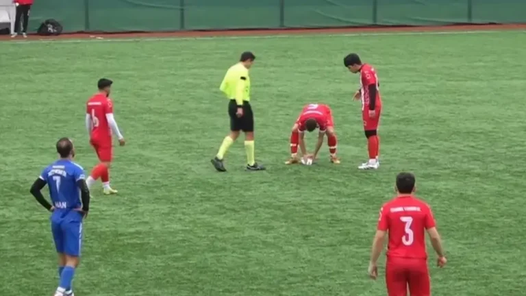 Martıya kalp masajı dünya medyasında