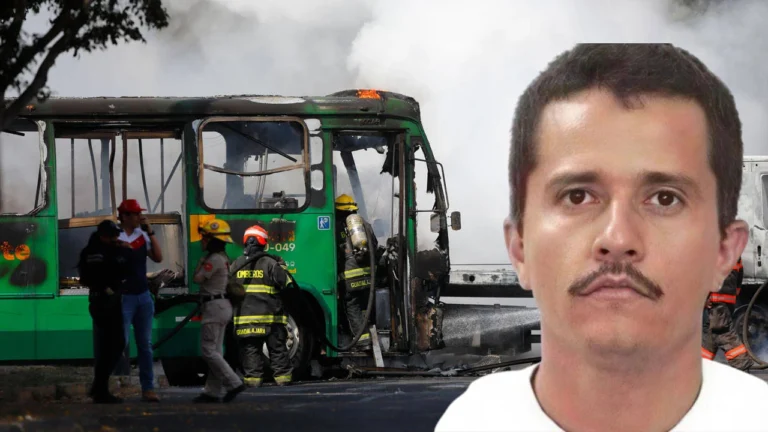 Avokado çiftçiliğinden kartel liderliğine