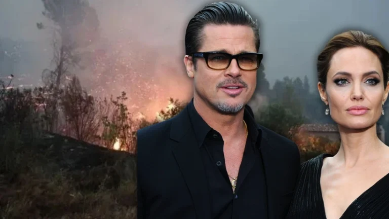 BRAD PITT’İN ŞATOSU YANGIN TEHDİDİ ALTINDA